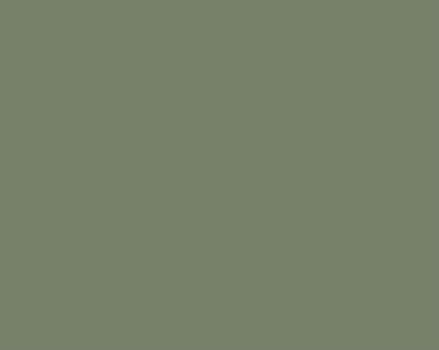 Palm Leaf